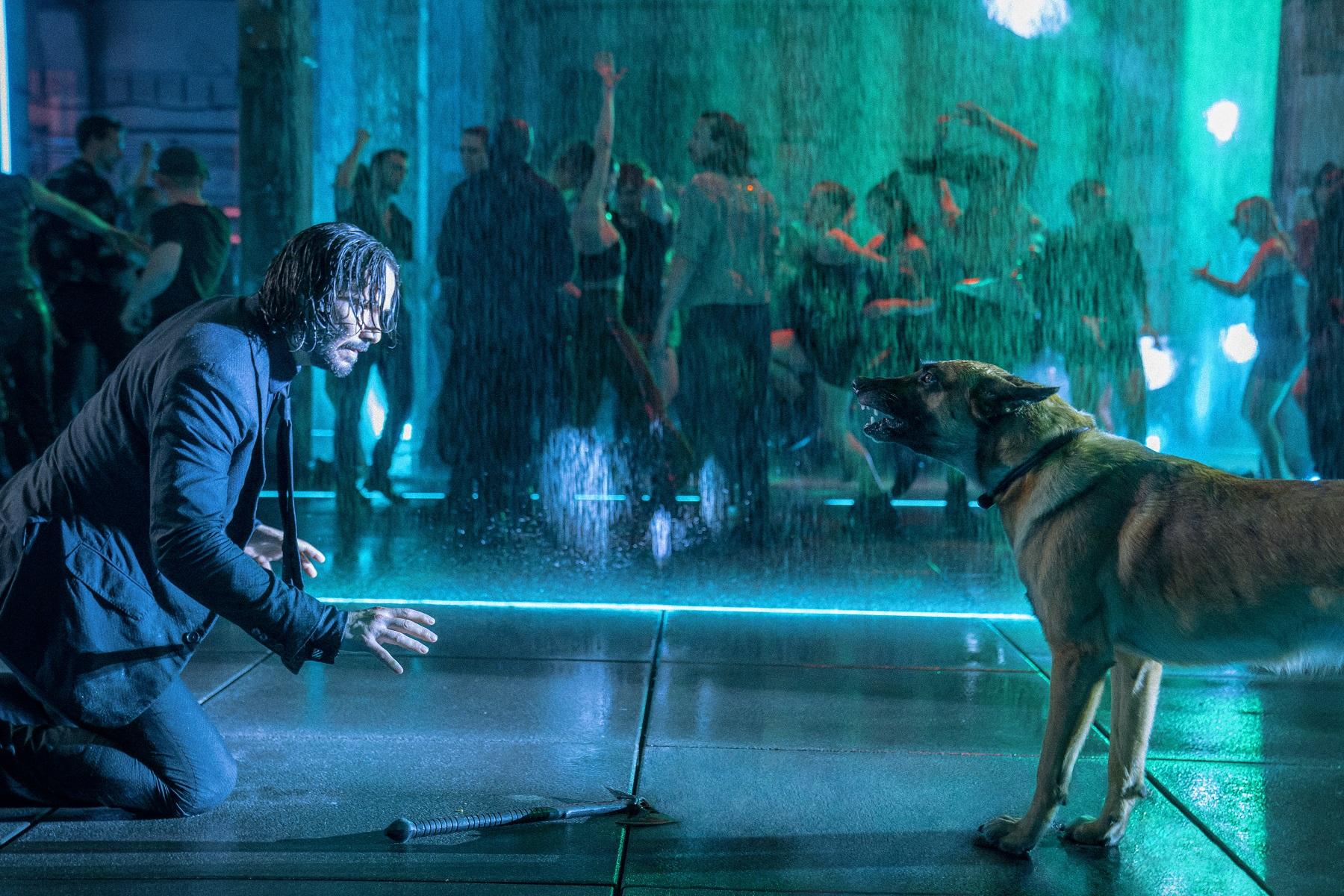 狗是《殺神John Wick 》系列必然出現的角色。