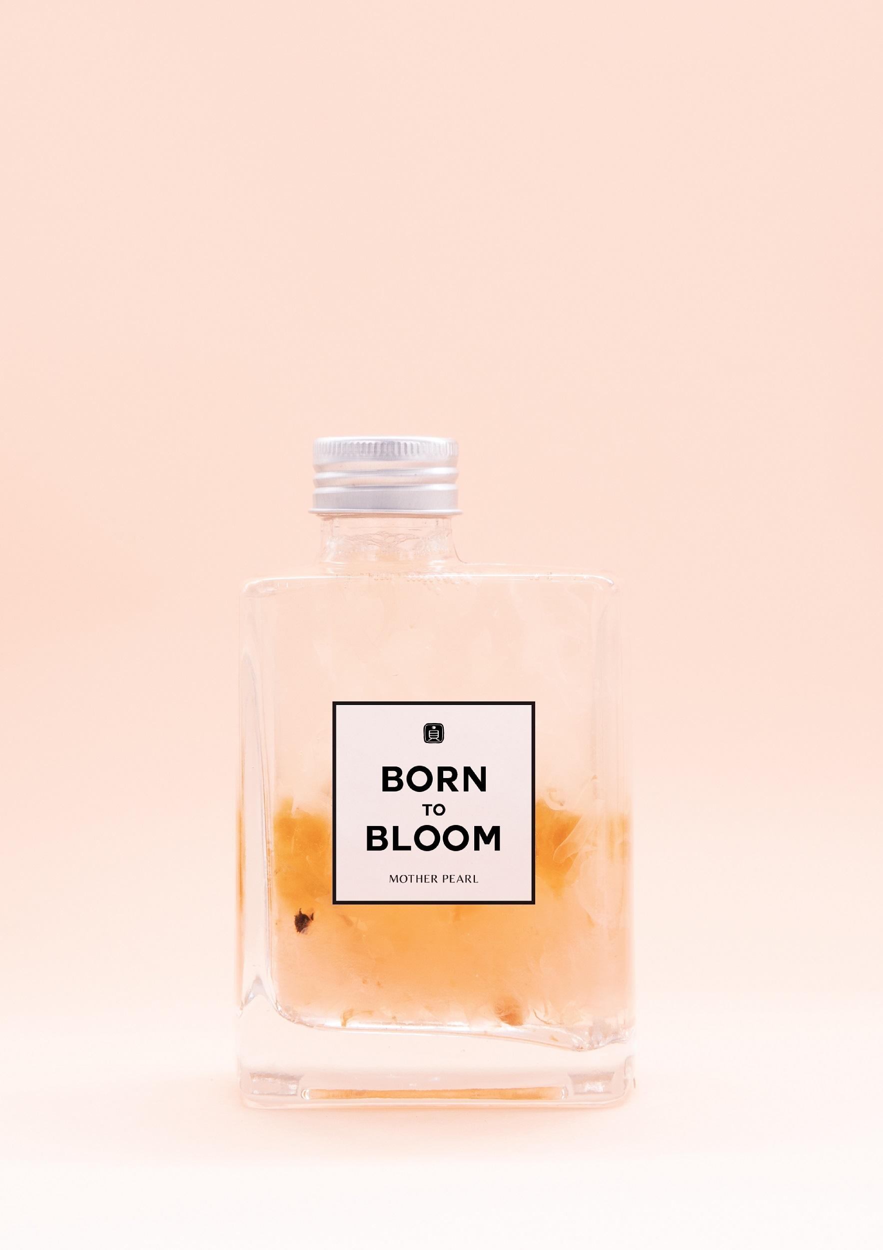 Mother Pearl 圓貝「櫻粉の花見」系列