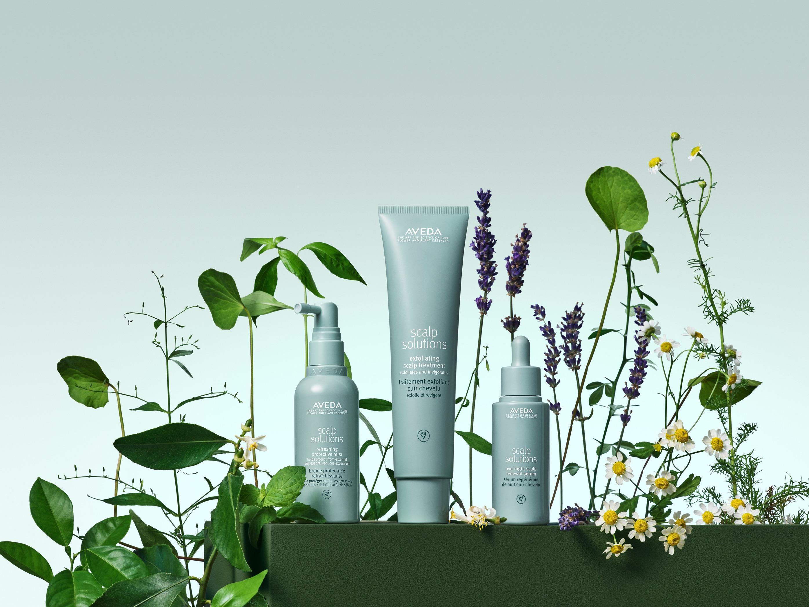 Aveda最近推出全新頭皮抗衰老系列(Scalp Solutions)。