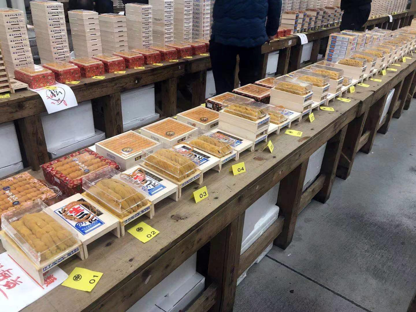 每次的日本海膽拍賣會,都會分最高級的一板板拍賣,或者十板拍賣不等。(相片由受訪者提供)