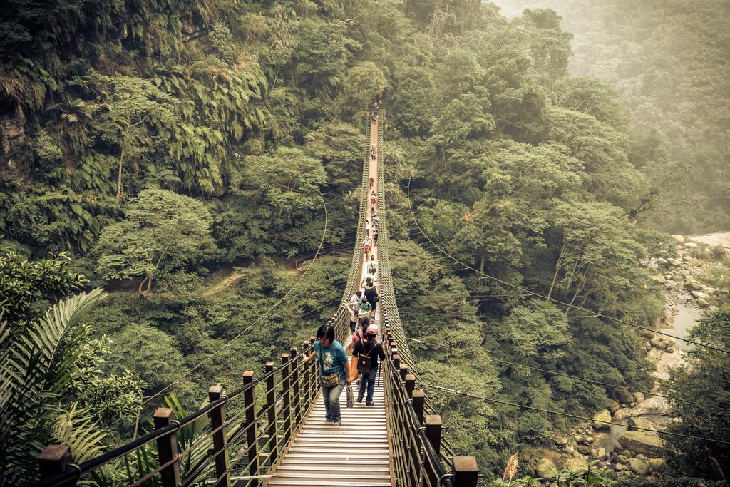 一般俗稱的阿里山,是指以沼平為中心的阿里山森林遊樂區。