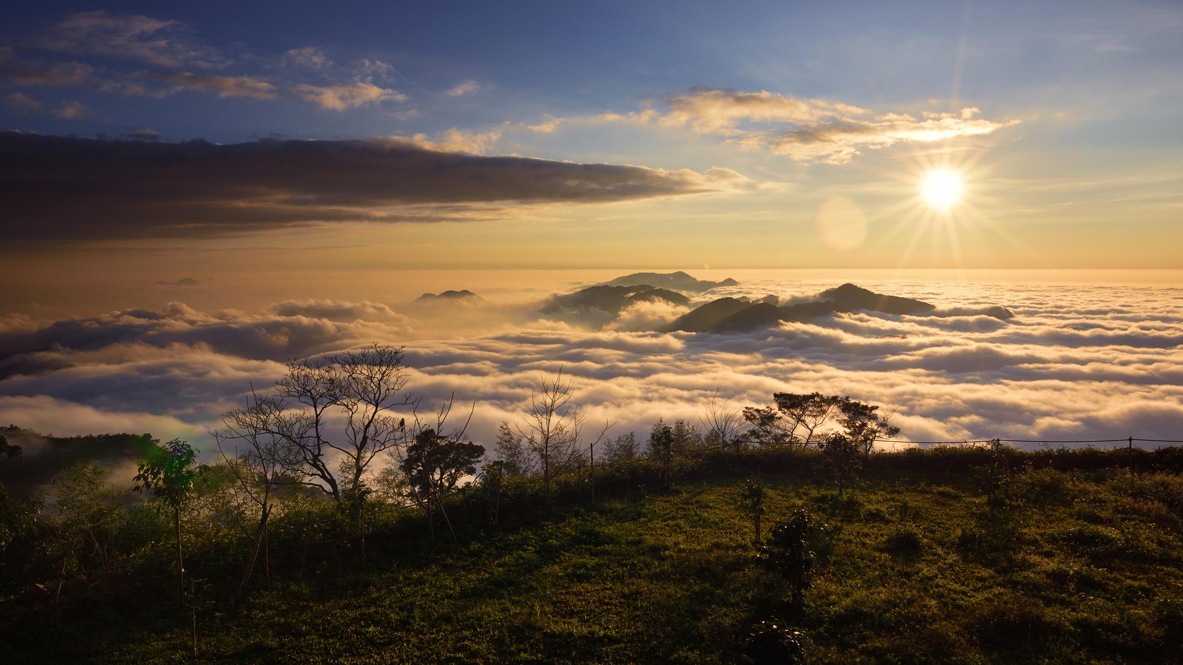 入住阿里山,翌日還可以看雲海日出。(Getty Images)