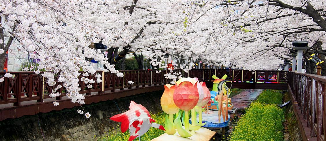 釜山鎮海軍港節