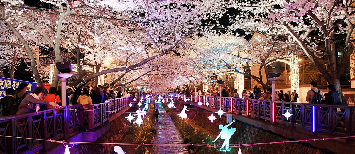 釜山鎮海軍港節