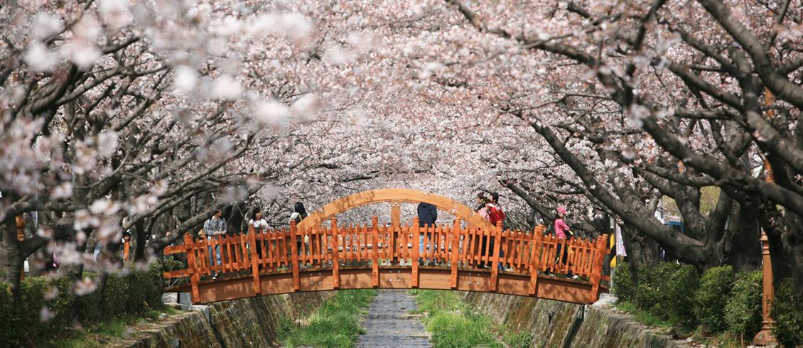 釜山鎮海軍港節