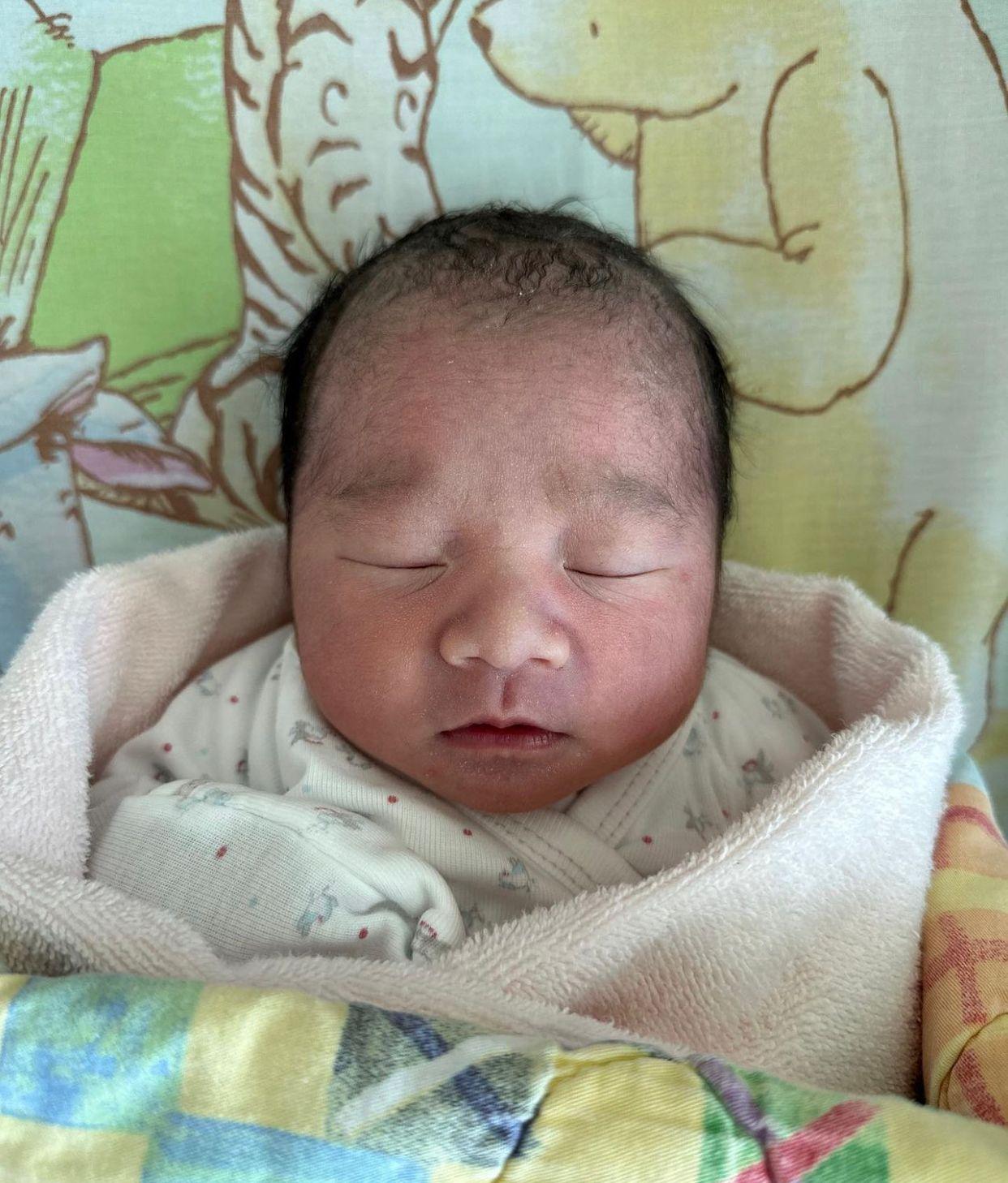 Welcome Audrey﹗Welcome Audrey﹗