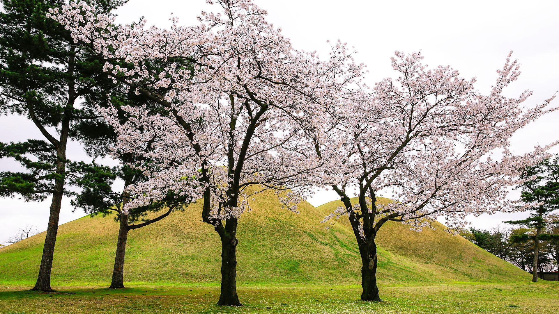 遊覽普門觀光園區