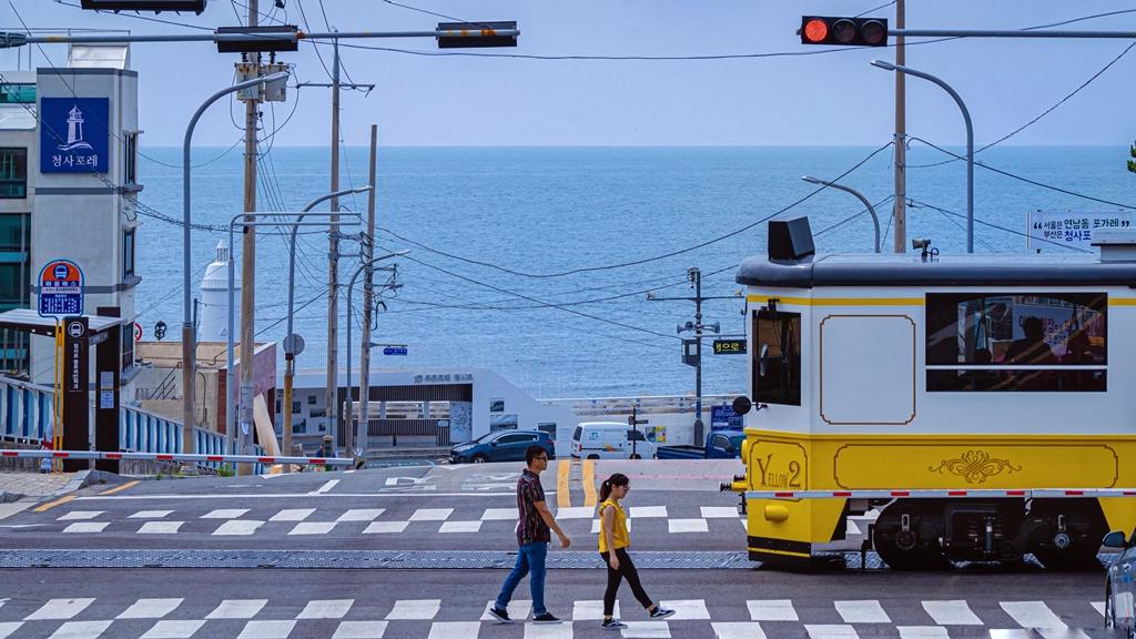 釜山市區內同樣有不少賞櫻好去處。