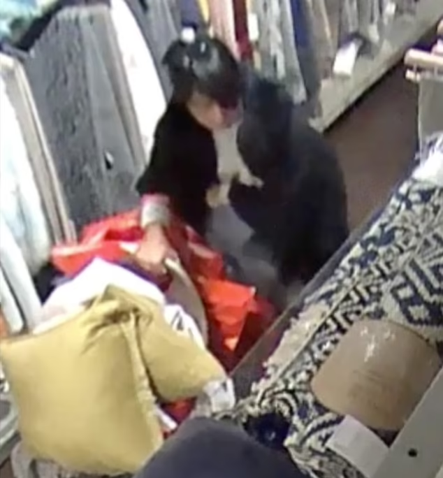 Kaur於4年內盜竊逾千次。(互聯網)