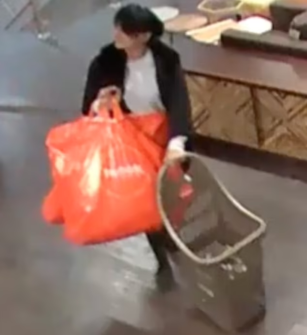 Kaur於4年內盜竊逾千次。(互聯網)