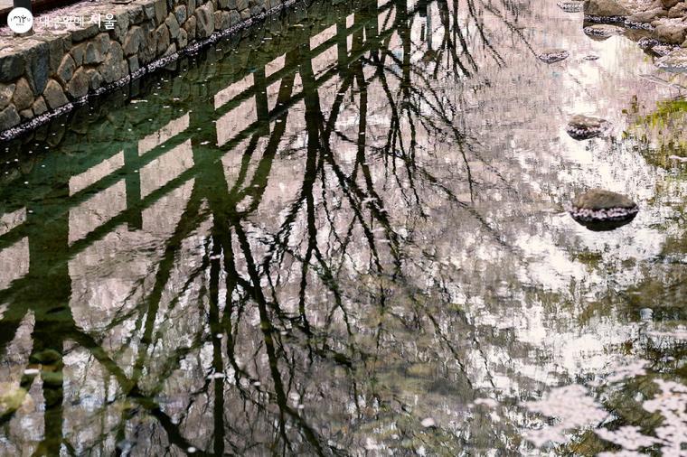 首爾林 (圖片來源:내손안에서올)