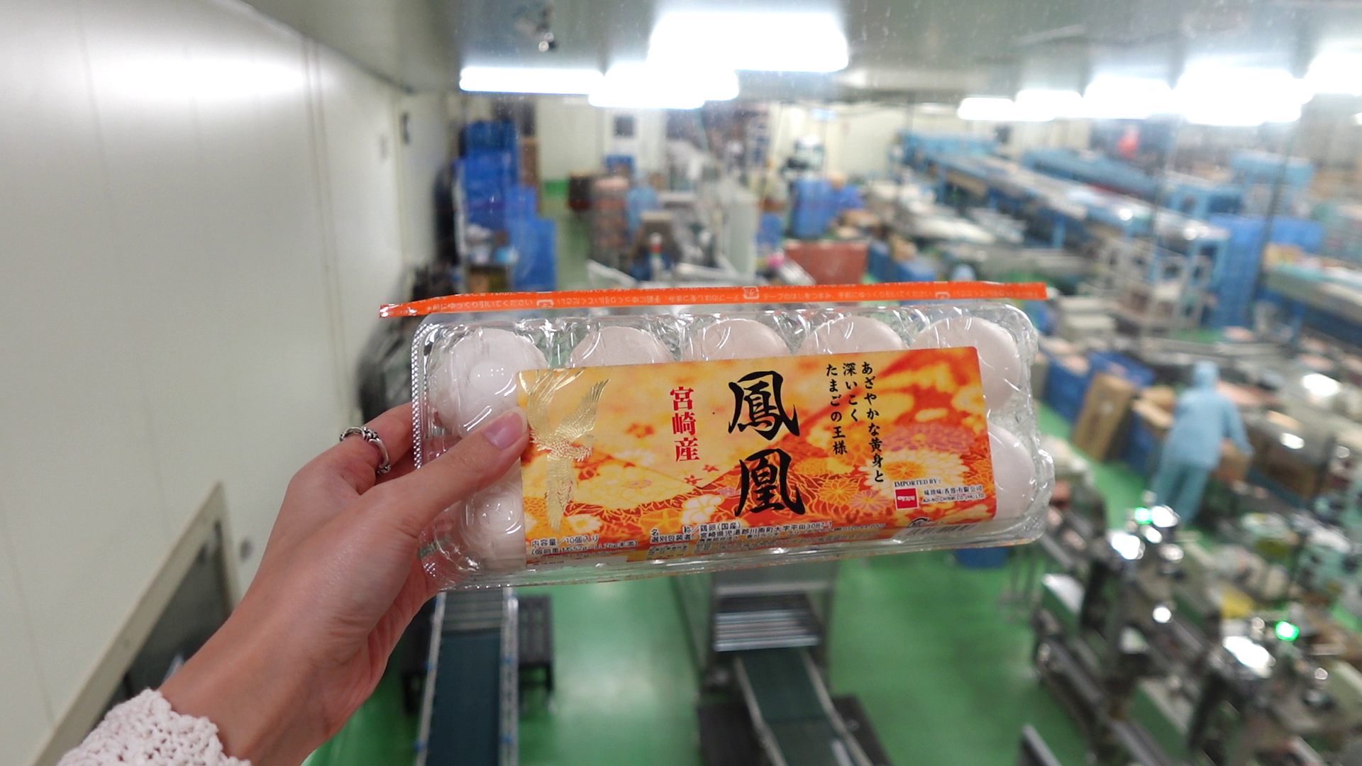 每小時可以自動處理8萬隻雞蛋