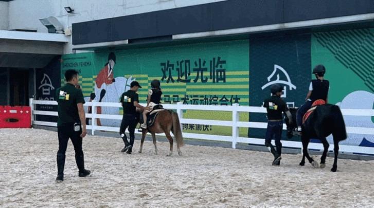 在天台騎馬,會是甚麼滋味?(網上圖片)