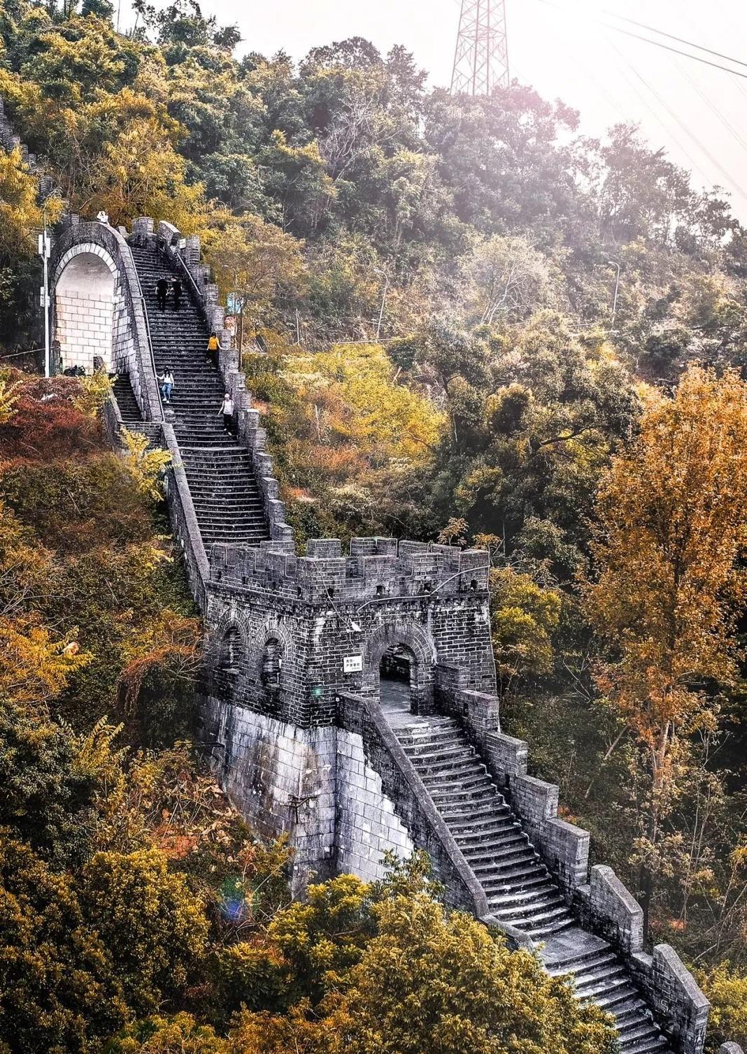 與真身萬里長城一樣,深圳小長城有烽火台,也有陡峭的梯階,在叢林的背照下,可有登上長城當好漢的氣概?(圖片來源:深圳美食部落格)