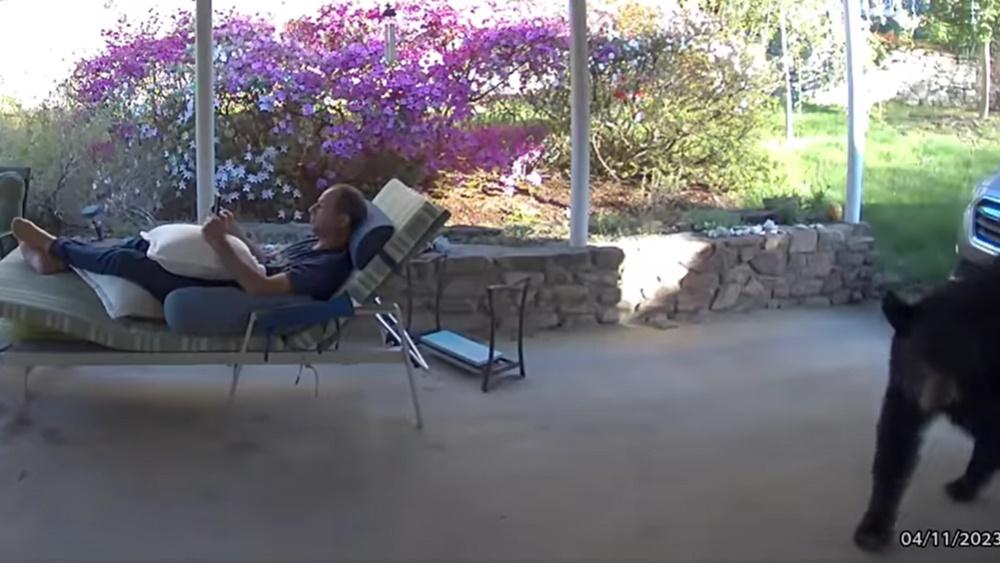 David Oppenheimer躺在椅玩手機十分寫意,身旁突然竄出黑影。(FB)