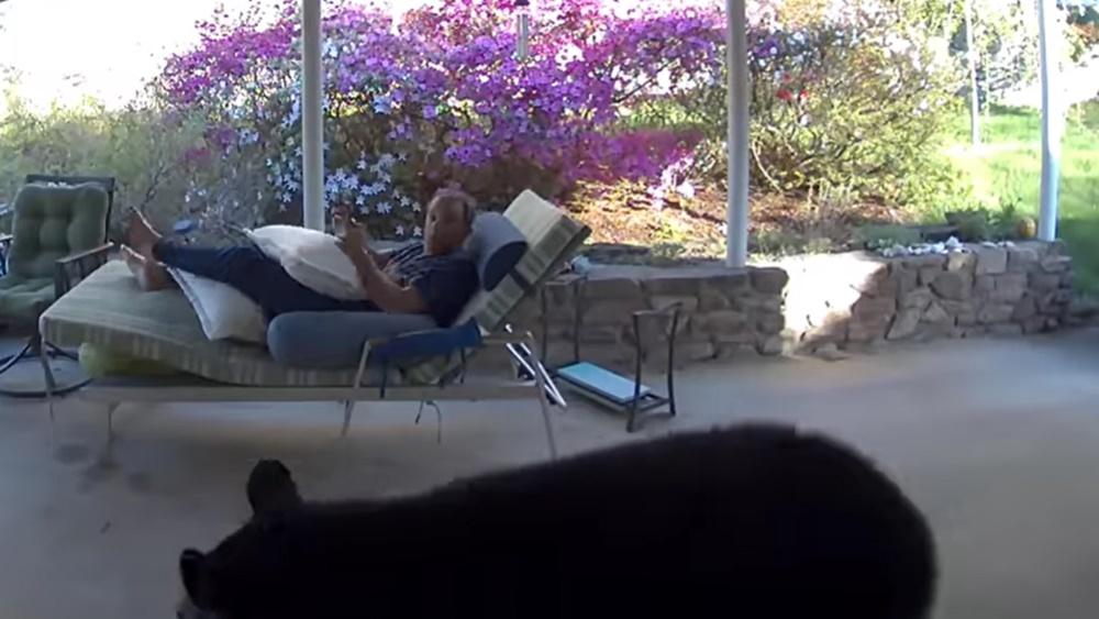 David Oppenheimer轉頭看到一隻黑熊站在面前,被大嚇一跳。(FB)