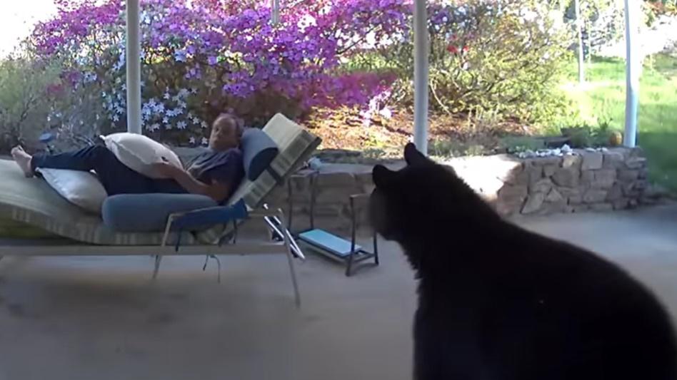 David Oppenheimer本能地抓緊身上的攬枕;黑熊則向後退了一大步。(FB)