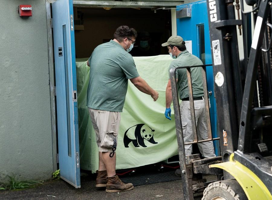 丫丫在當地星期三(26日)上午,由專車運載,離開動物園前往機場。(Twitter)