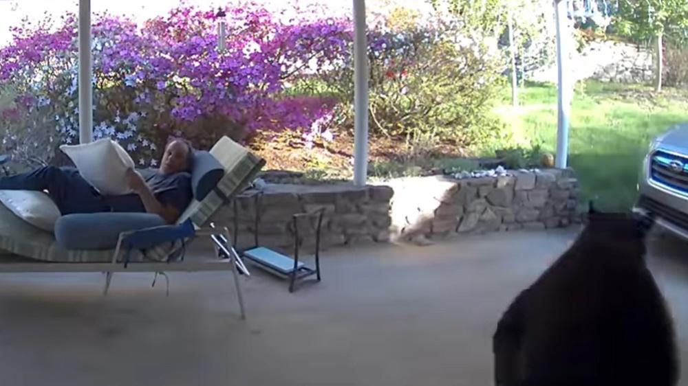 他們四目交投,十分戒備,靜默大約4秒,最終黑熊一個轉身迅速逃跑。(FB)