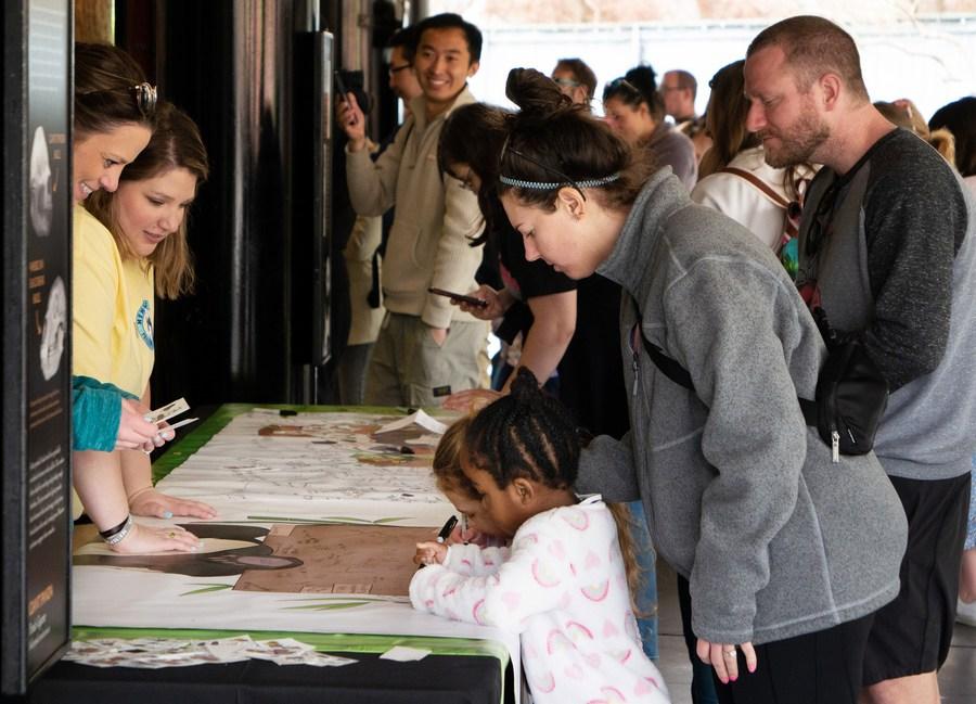 動物園較早前已為丫丫舉行歡送會。(Twitter)
