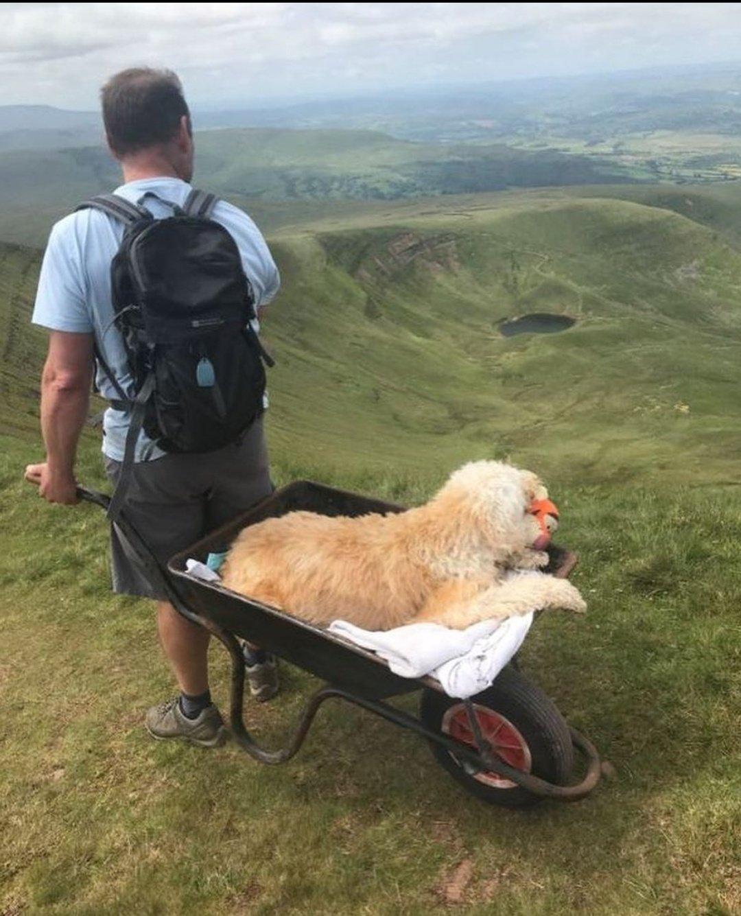 Carlos以一輛手推車,在上面放上毛氈,載著Monty登山。(Twitter)