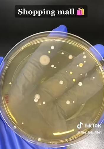 商場洗手間吹風機。(TikTok)