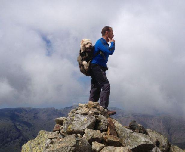 Carlos經常著Monty四處遊玩,享受大自然。(Twitter)