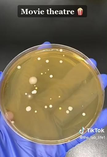 戲院洗手間吹風機。(TikTok)