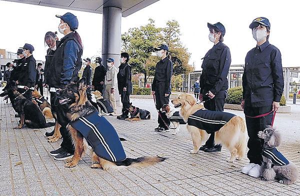 「嘱託警犬」委託儀式。(網上圖片)