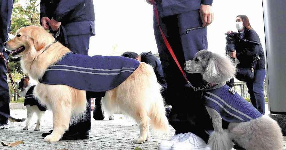 「嘱託警犬」委託儀式。(網上圖片)