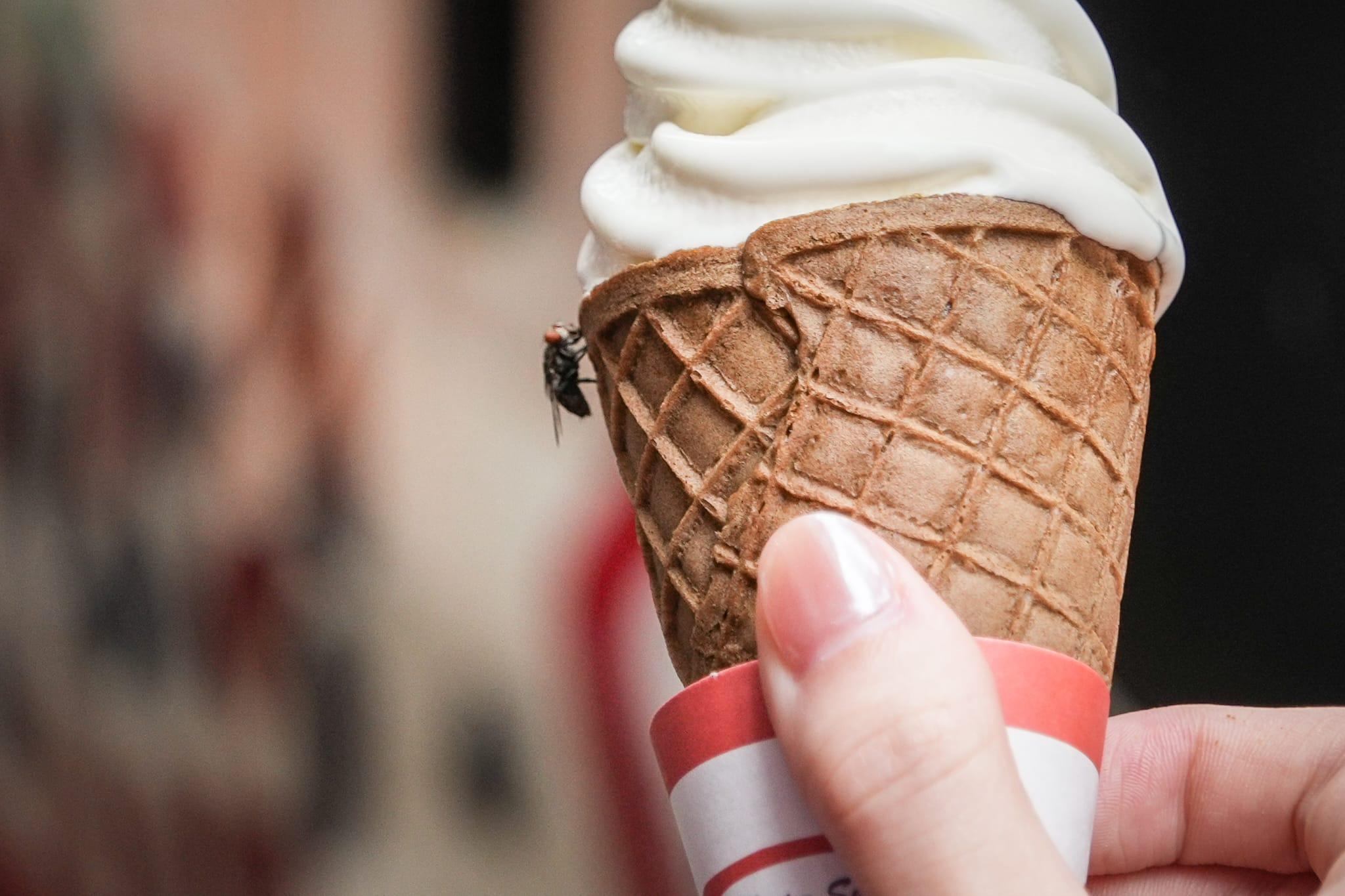 不少旅客忙著與雪糕「打卡」。有蒼蠅飛到雪糕上。(李睿哲攝)