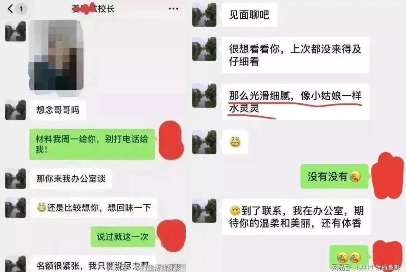 校長與人妻的對話非常露骨。(圖/翻攝畫面)