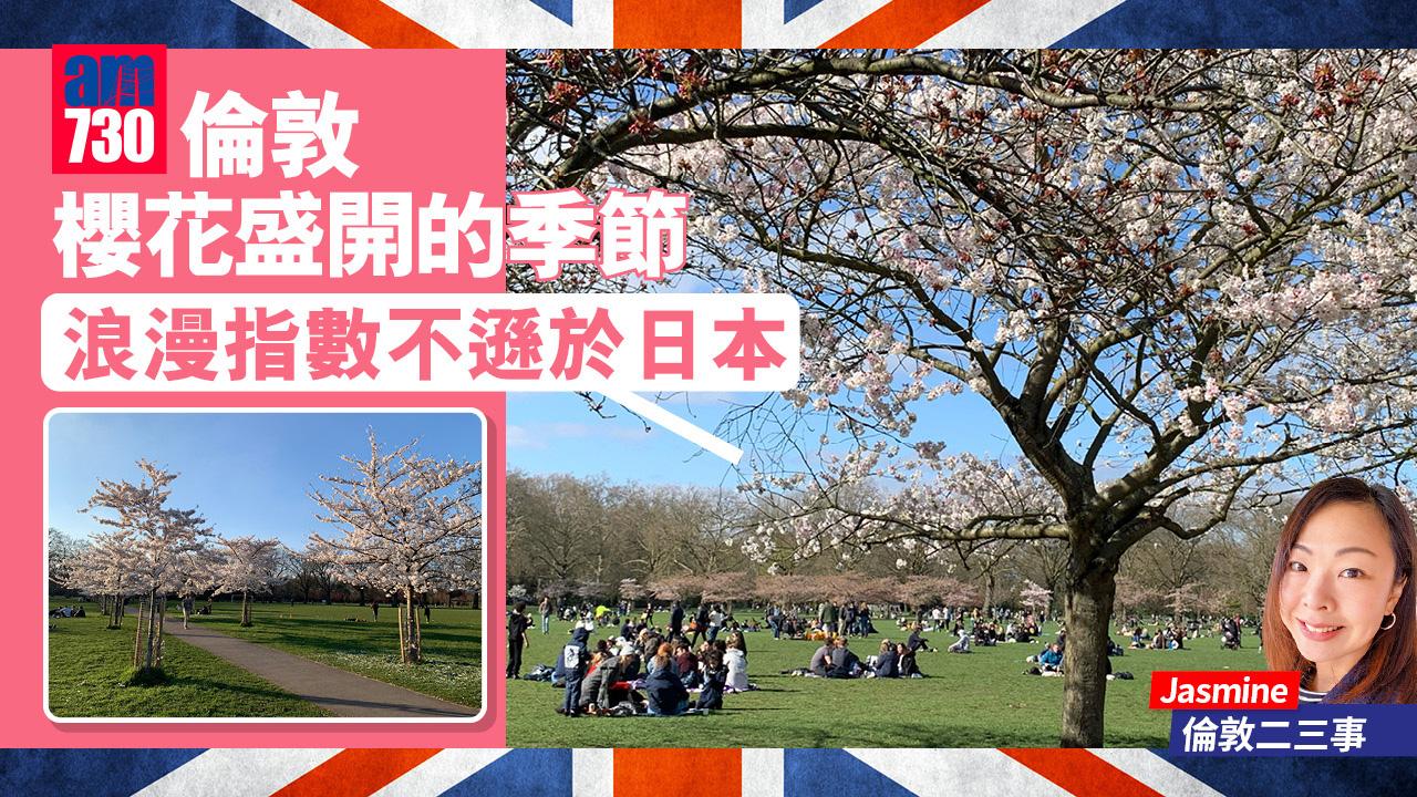 倫敦櫻花盛開季節 浪漫指數不遜日本