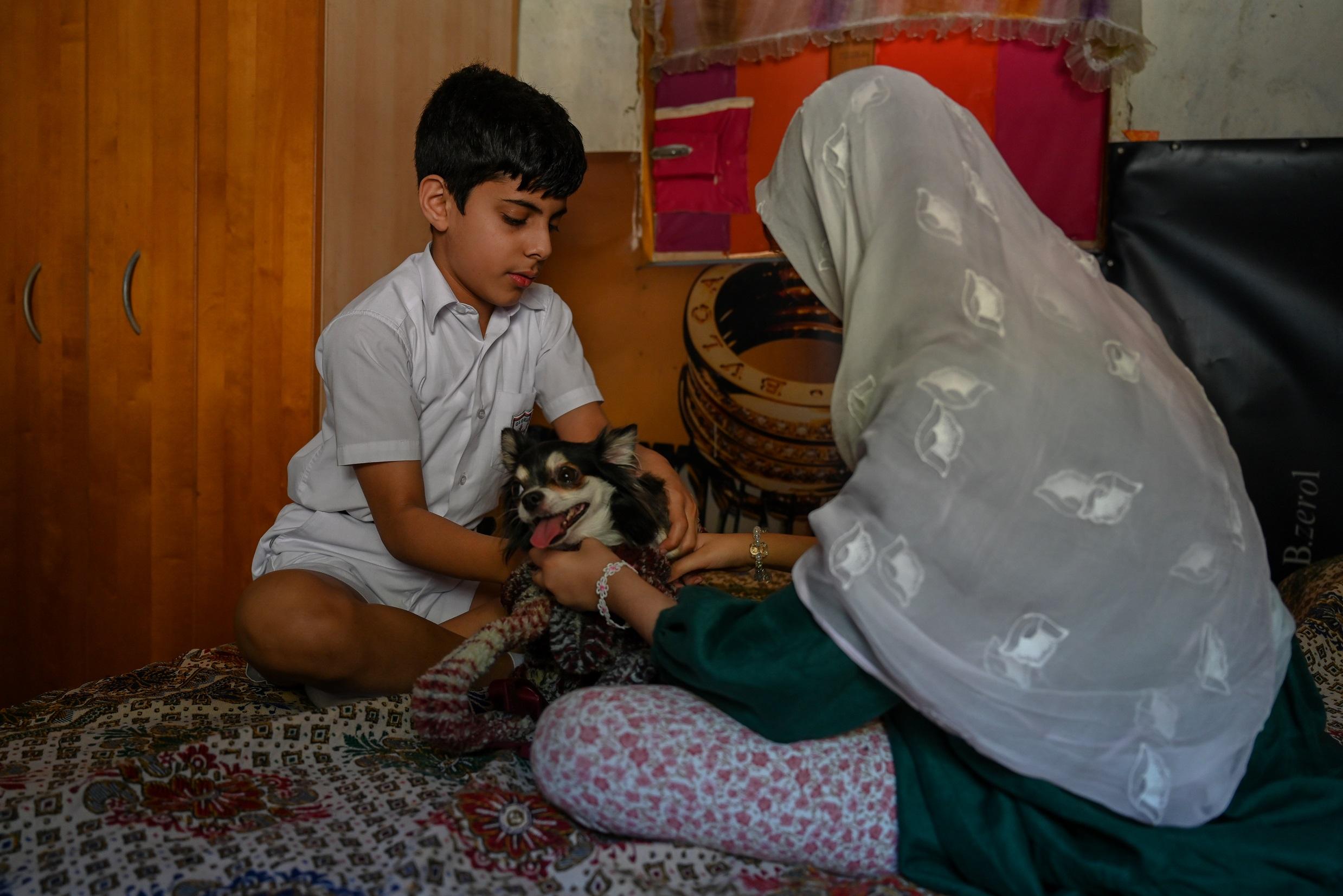 《白日青春》劇照