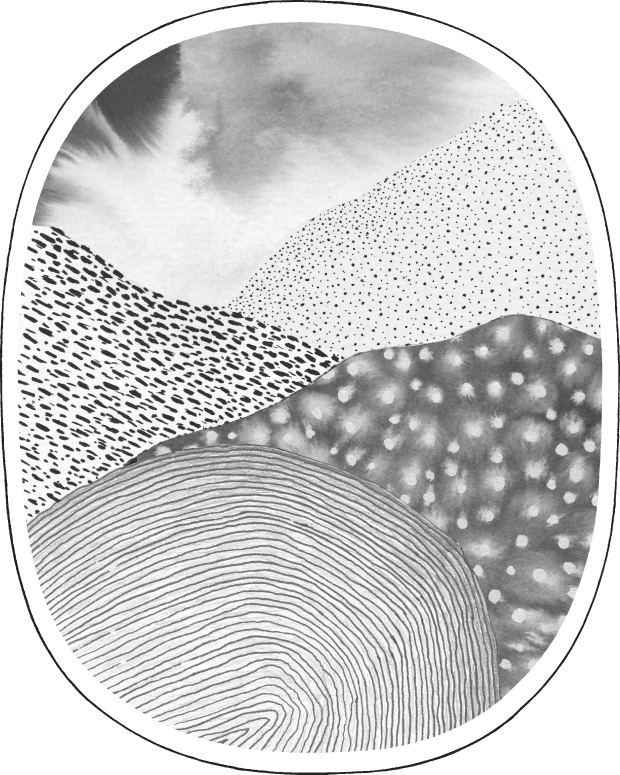 香水橢圓形標誌的背面圖案由來自法國的藝術家Alix Waline創作。