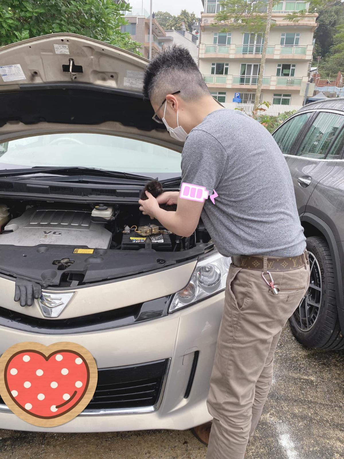 一眾街坊合力救出黑貓