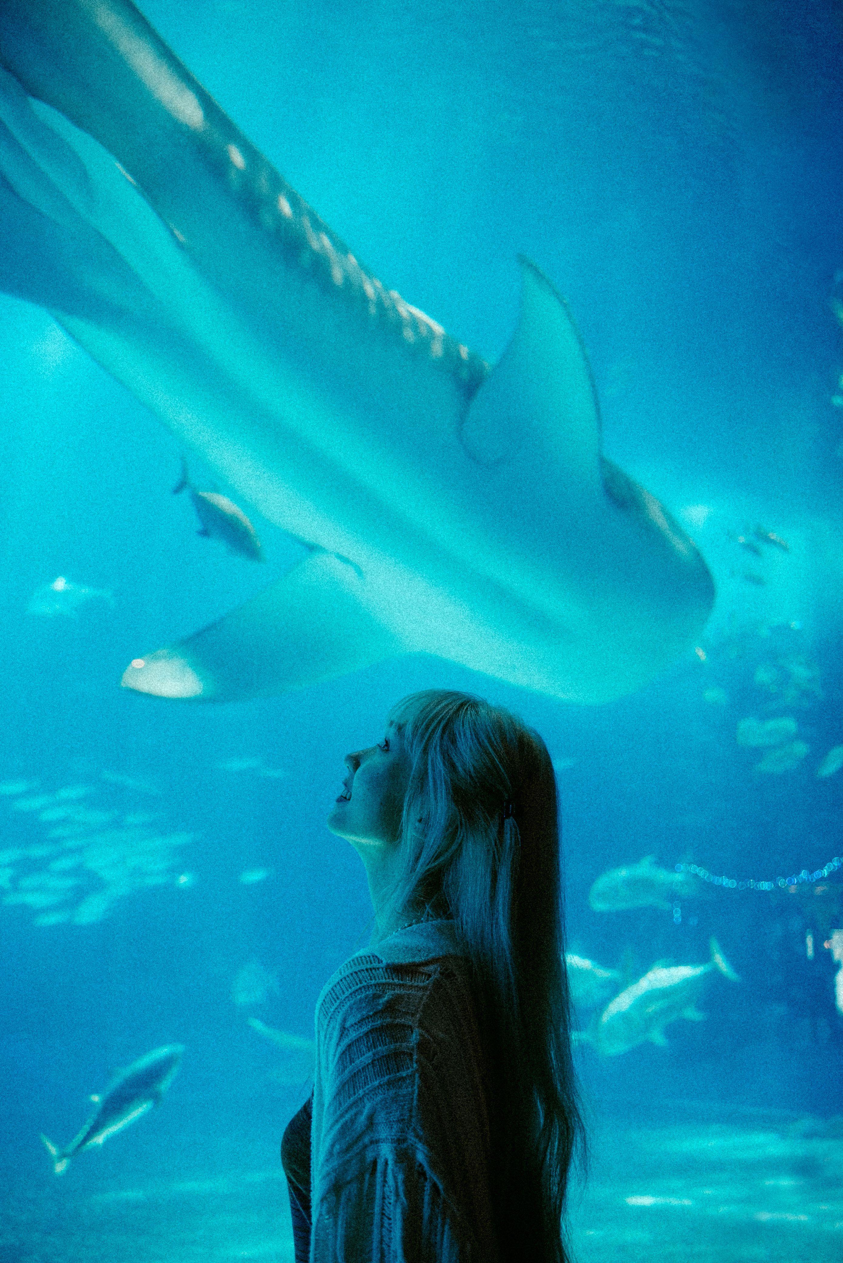 Nancy Kwai赴沖繩拍攝自己首個個人MV。