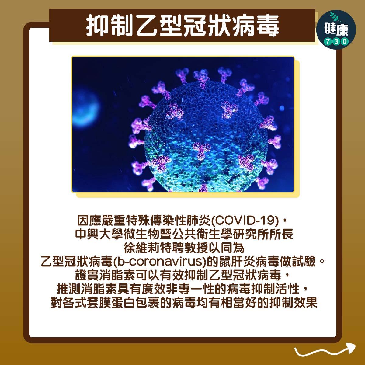 普洱茶功效|抑制乙型冠狀病毒:因應嚴重特殊傳染性肺炎(COVID-19),中興大學微生物暨公共衛生學研究所所長徐維莉特聘教授以同為乙型冠狀病毒(b-coronavirus)的鼠肝炎病毒做試驗。證實消脂素可以有效抑制乙型冠狀病毒,推測消脂素具有廣效非專一性的病毒抑制活性,對各式套膜蛋白包裹的病毒均有相當好的抑制效果。
