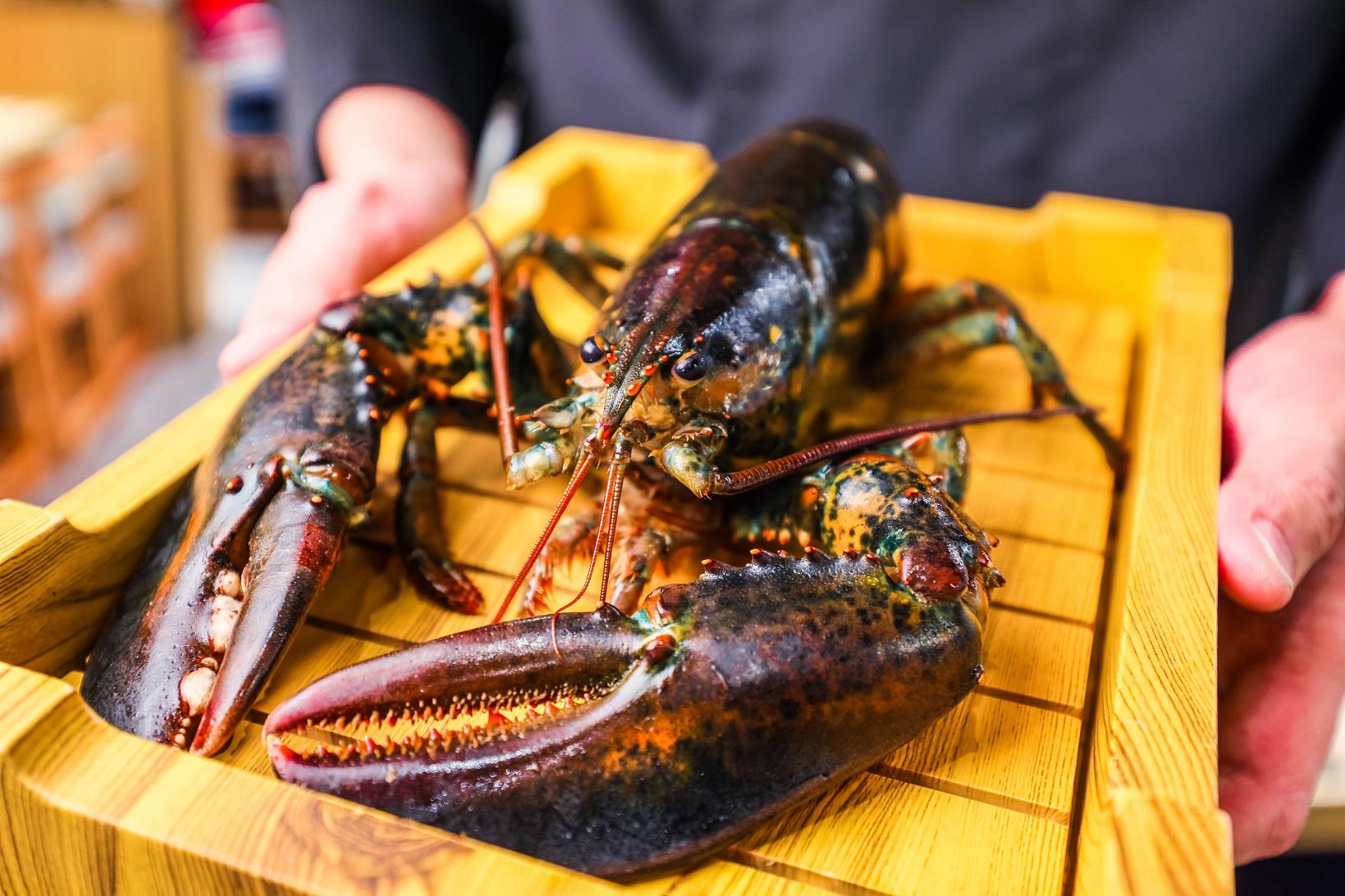 「牛舞Gyumai」2周年優惠大放送