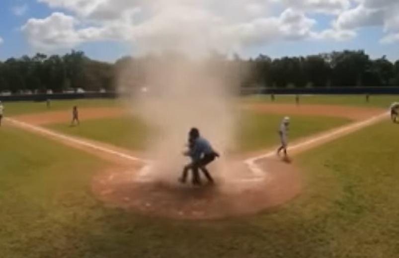 裁判上前將捕手抱走。(影片截圖)