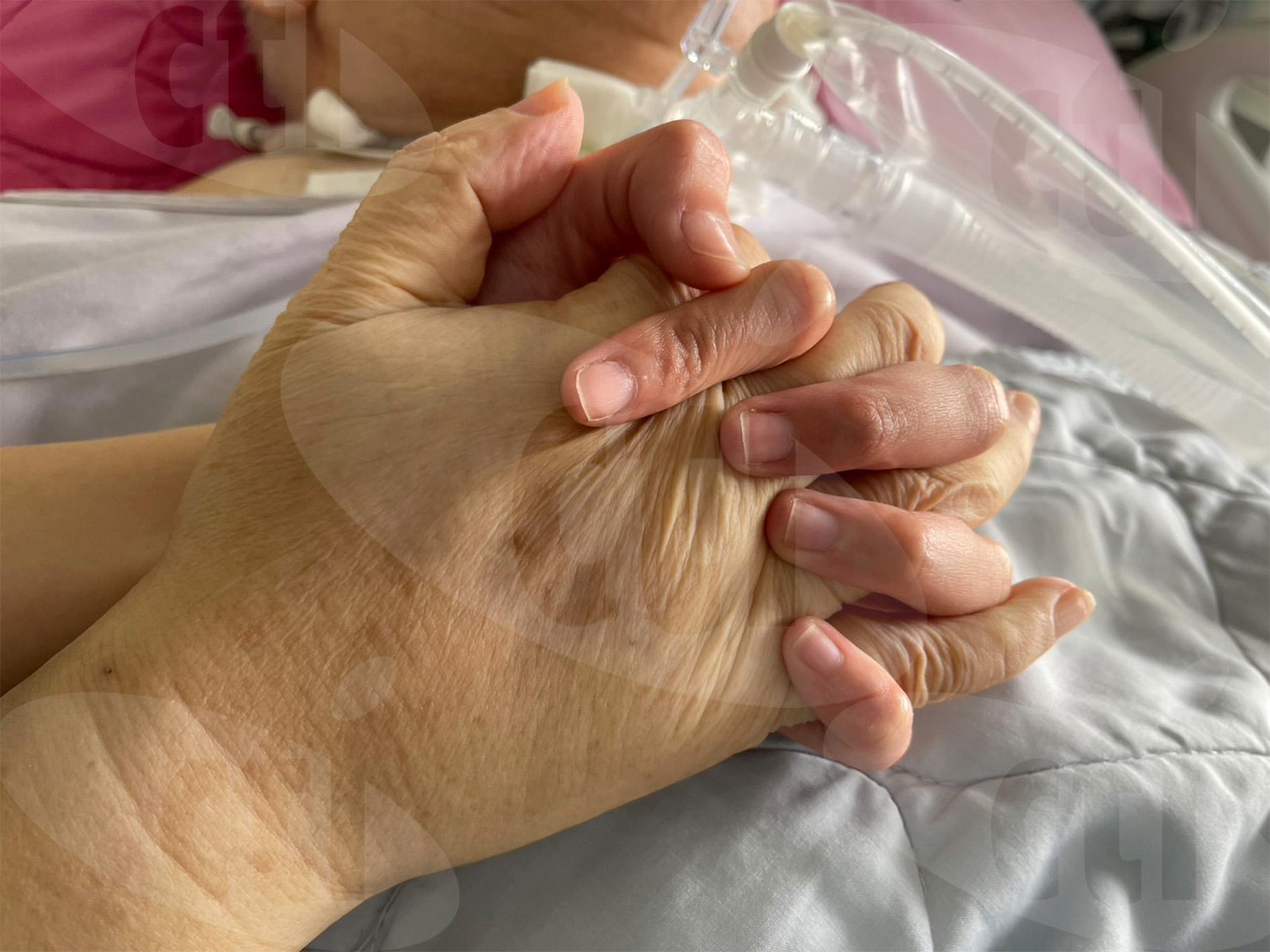 李坤城與林靖恩在病床內握手互相打氣。(圖/記者陳曉涵攝)