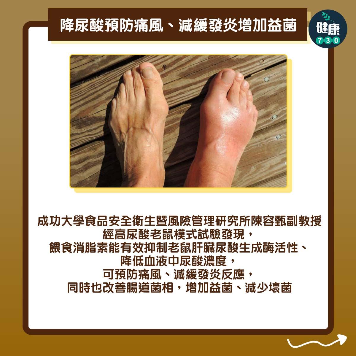 普洱茶功效|降尿酸預防痛風、減緩發炎增加益菌:成功大學食品安全衛生暨風險管理研究所陳容甄副教授經高尿酸老鼠模式試驗發現,餵食消脂素能有效抑制老鼠肝臟尿酸生成酶活性、降低血液中尿酸濃度,可預防痛風、減緩發炎反應,同時也改善腸道菌相,增加益菌、減少壞菌。