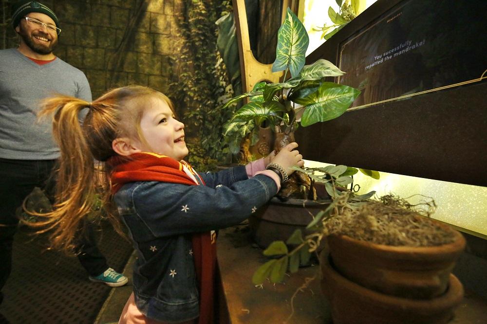 訪客可在草藥學溫室中種植魔蘋果。