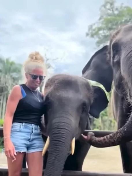 與大象合照手臂被咬斷,峇里島女遊客:聽到骨碎聲。(YouTube)