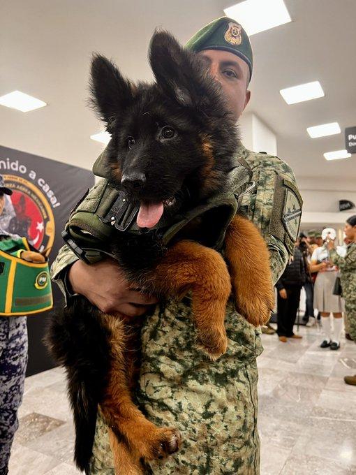 Arkadas在土耳其語是「朋友」的意思。(Twitter)