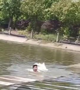 惟男子伏在浮板上、浸在水中久久未能撐起身,及後更失平衡墮入水塘中。(微博)