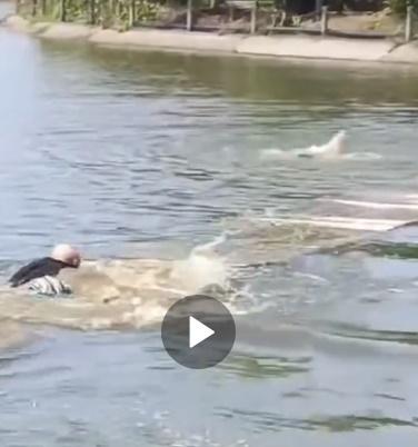 其後有另一名男子趕緊落水營救,男事主已沒頂下沉,前後只僅約60秒。(微博)