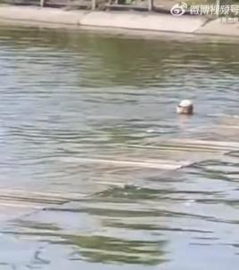 其後有另一名男子趕緊落水營救,男事主已沒頂下沉,前後只僅約60秒。(微博)