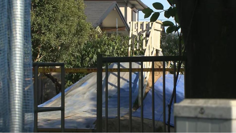 相關設施現時以藍色帆布覆蓋。(網上圖片)