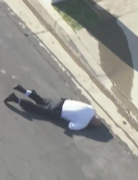 蜜峰持續發動攻擊令警員手足無措,結果被地上物件被絆到,頓然失平衡直仆地上。(Twitter)